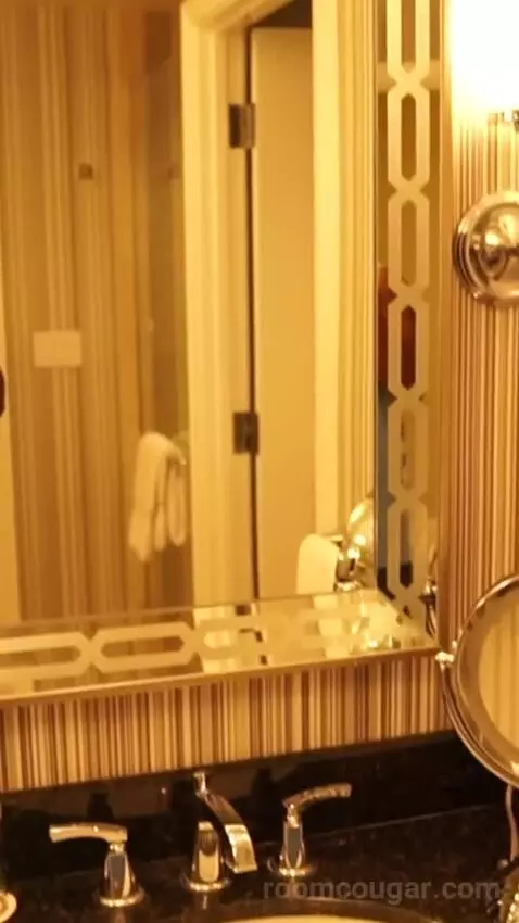 Octavius Premium Room, 1 King (#6484) bathroom picture #7