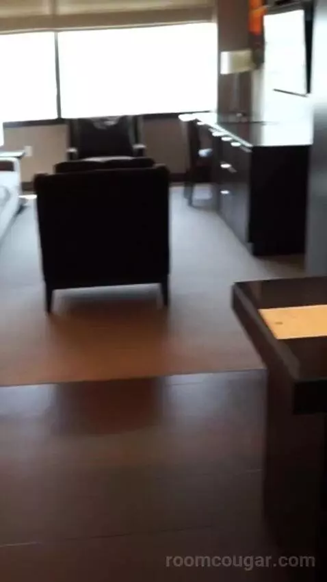 thevegasparadise's review preview (Vdara Hotel & Spa at ARIA Las Vegas)