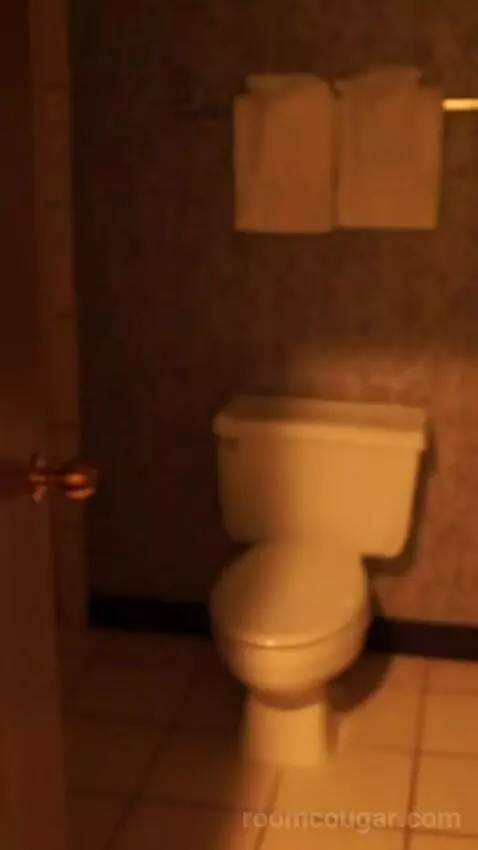 Royal Superior King Room (#19175) bathroom picture #1