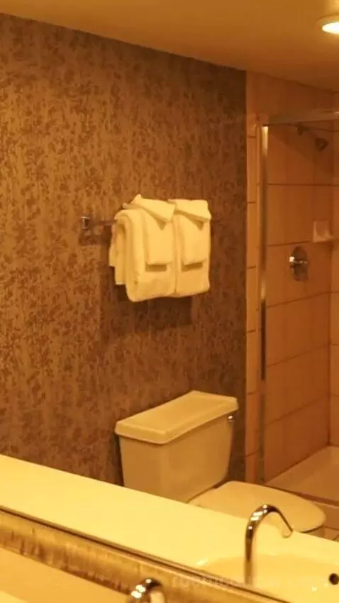 Royal Superior King Room (#19175) bathroom picture #3