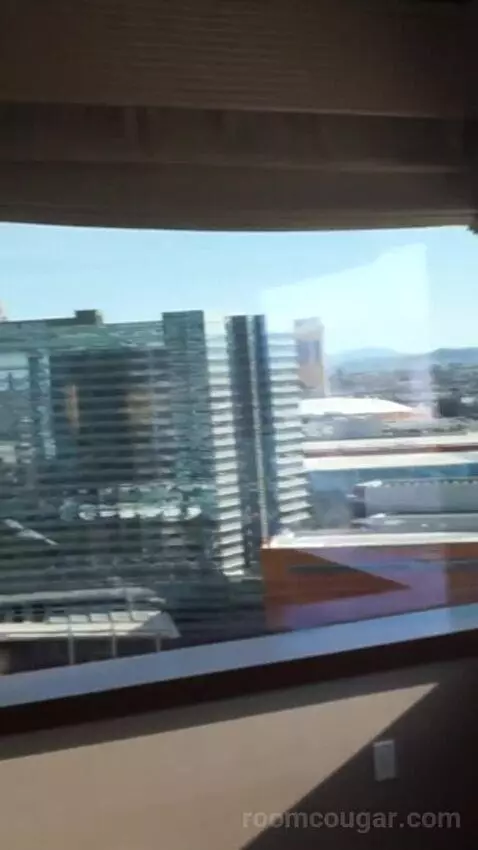 City Corner Suite (#21048) view picture #5