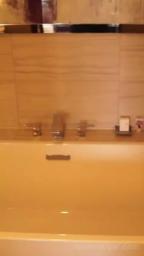 Valley Tower Executive Suite, 1 King Bed (#33014) bathroom picture #11