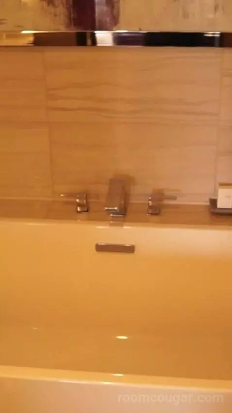 Valley Tower Executive Suite, 1 King Bed (#33014) bathroom picture #12