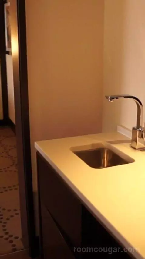 Valley Tower Executive Suite, 1 King Bed (#33014) bathroom picture #1