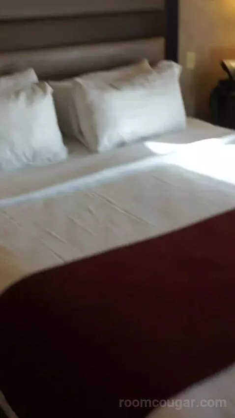 Deluxe King Room (#4008) bed picture #9