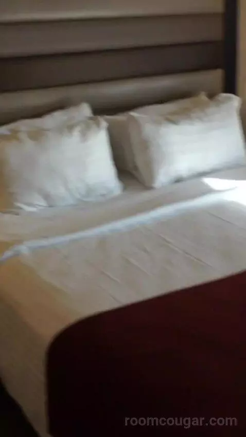 Deluxe King Room (#4008) bed picture #10