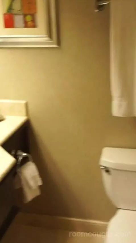 Deluxe King Room (#4008) bathroom picture #1