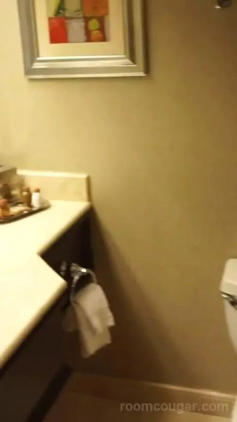 Deluxe King Room (#4008) bathroom picture #2