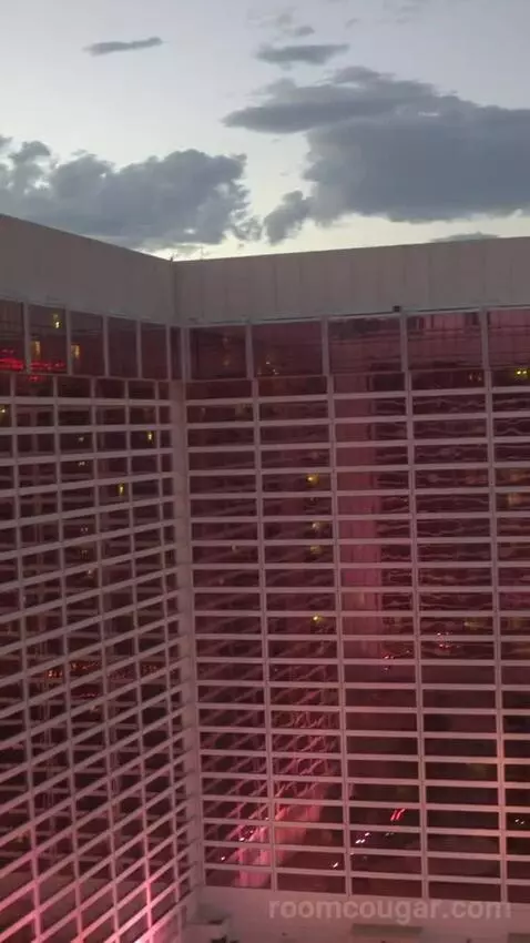 Go Room, 1 King, High Roller View (#24029) view picture #1