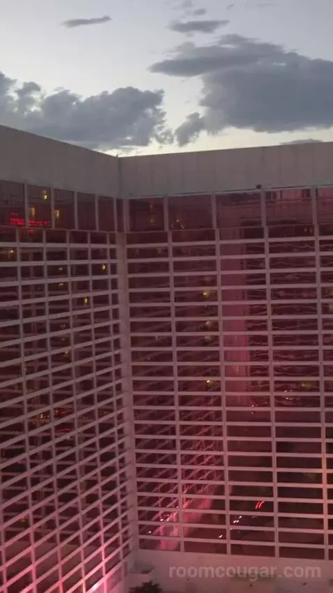 Go Room, 1 King, High Roller View (#24029) view picture #2
