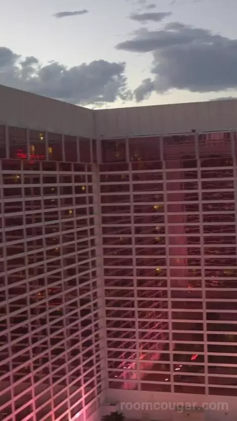 Go Room, 1 King, High Roller View (#24029) view picture #3