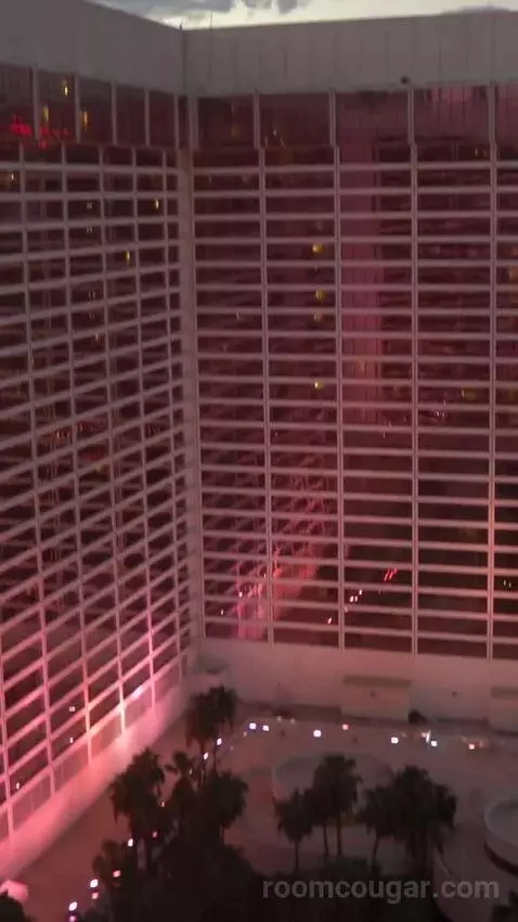 Go Room, 1 King, High Roller View (#24029) view picture #5
