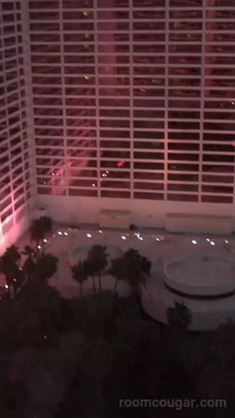 Go Room, 1 King, High Roller View (#24029) view picture #7