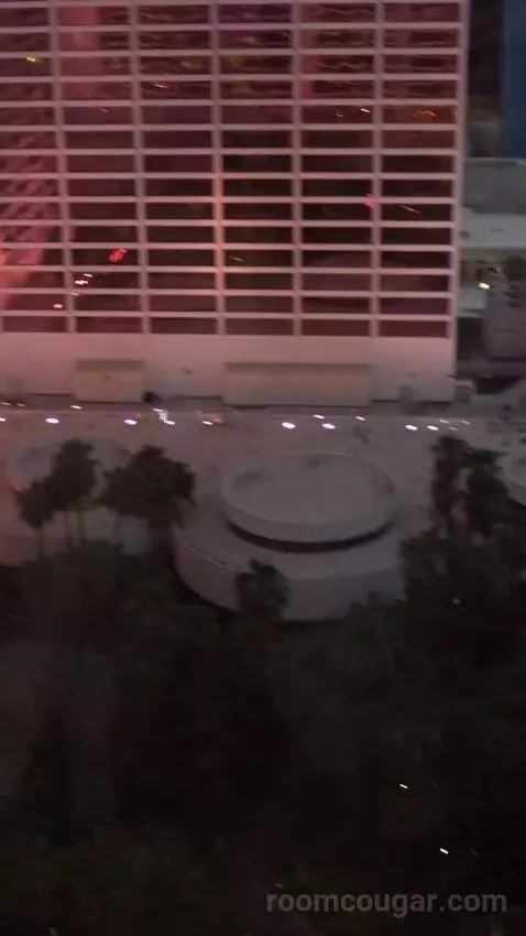 Go Room, 1 King, High Roller View (#24029) view picture #8
