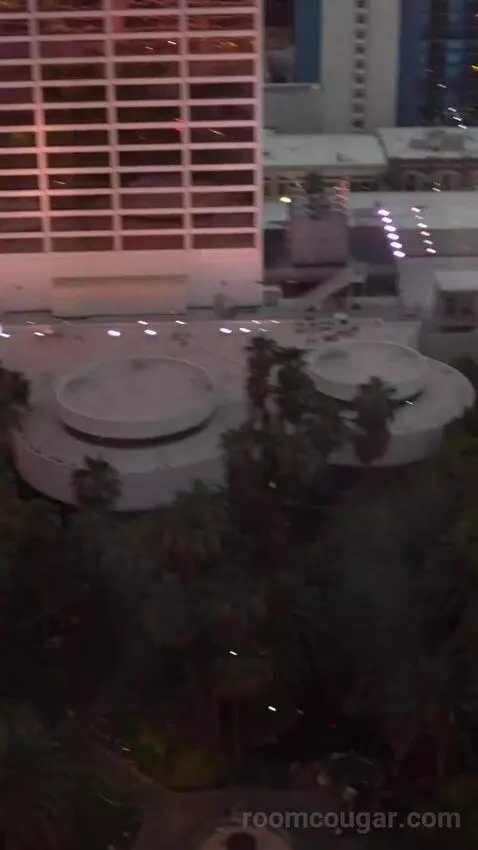 Go Room, 1 King, High Roller View (#24029) view picture #9