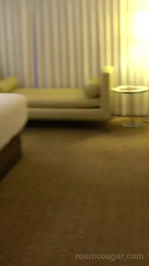 Go Room, 1 King, High Roller View (#24029) bed picture #2