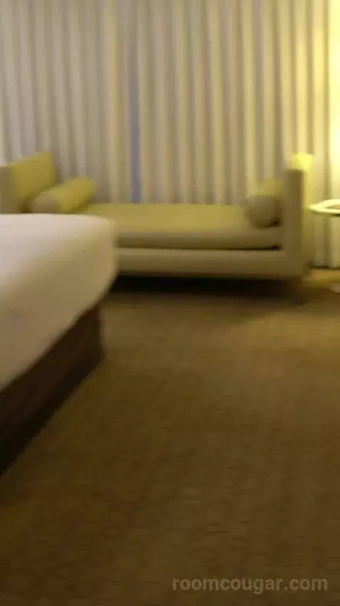 Go Room, 1 King, High Roller View (#24029) bed picture #3