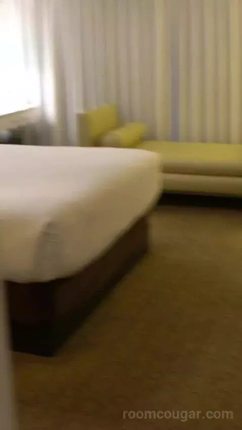 Go Room, 1 King, High Roller View (#24029) bed picture #4