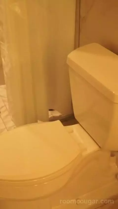 King Suite, Non Smoking - Caesars Suites (#20168) bathroom picture #10