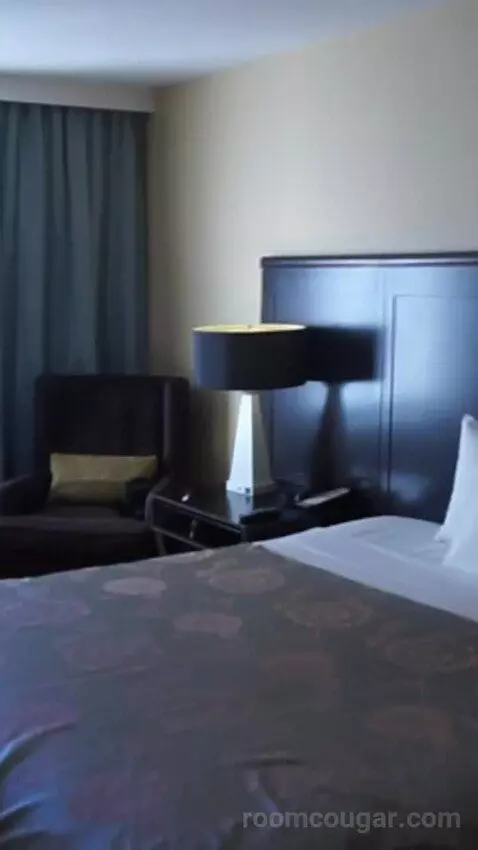 Resort Tower King (#16202) bed picture #3