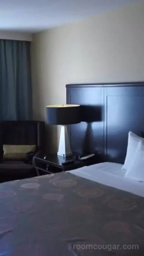 Resort Tower King (#16202) bed picture #4