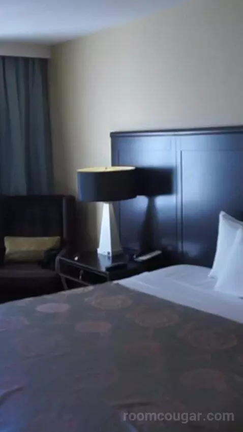 Resort Tower King (#16202) bed picture #5