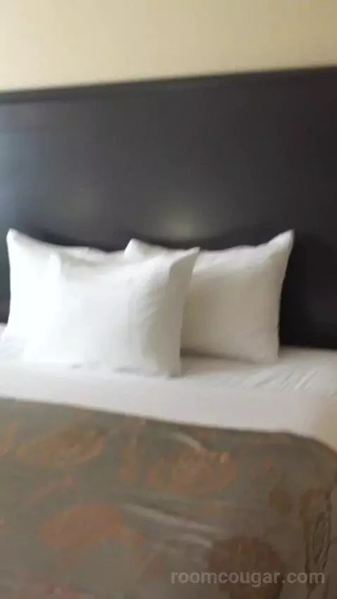 Resort Tower King (#16202) bed picture #10