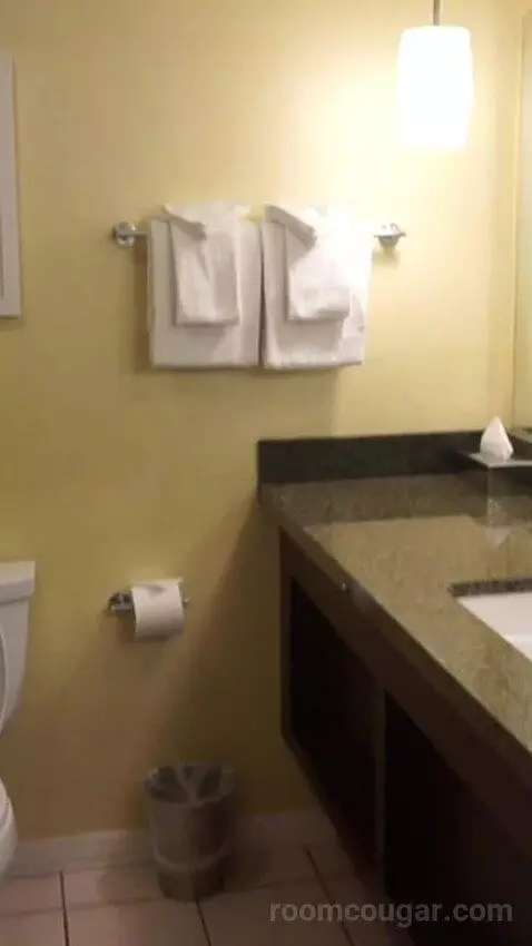 Resort Tower King (#16202) bathroom picture #4