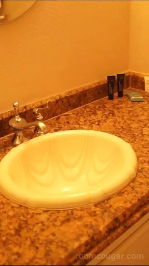 Luxury Suite, 1 King (#27098) bathroom picture #5