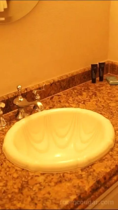 Luxury Suite, 1 King (#27098) bathroom picture #6