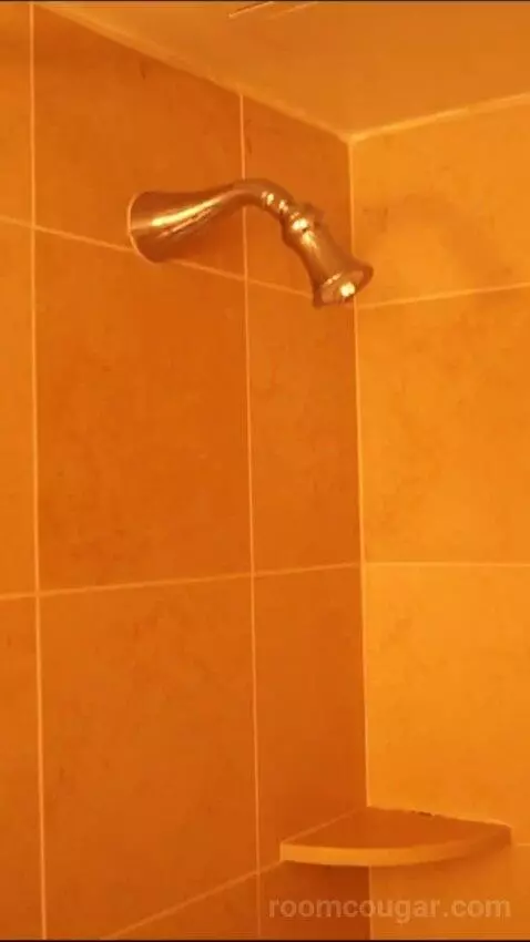Luxury Suite, 1 King (#27098) bathroom picture #12