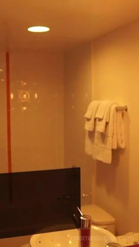 Go Premium King (#23040) bathroom picture #1