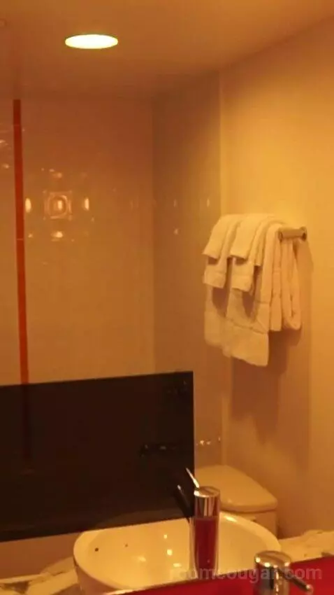 Go Premium King (#23040) bathroom picture #2