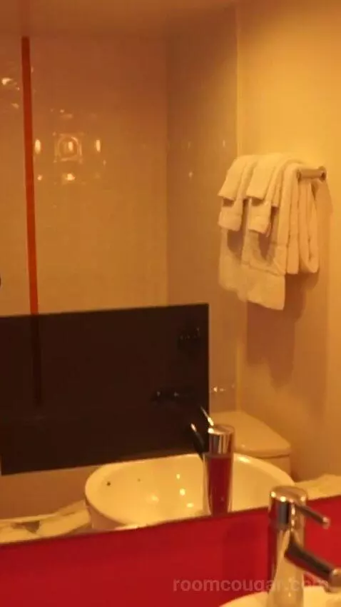 Go Premium King (#23040) bathroom picture #4