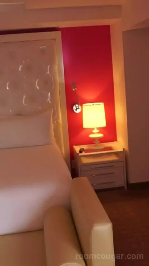Go Premium King (#23040) bed picture #3