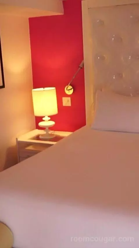 Go Premium King (#23040) bed picture #5