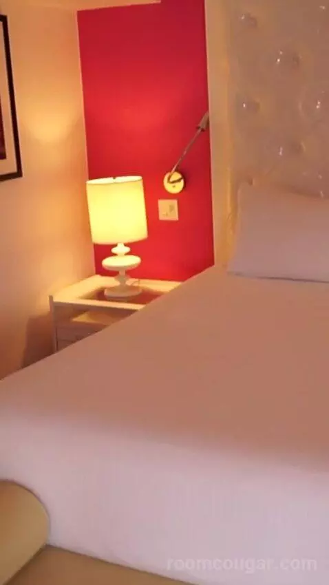 Go Premium King (#23040) bed picture #6