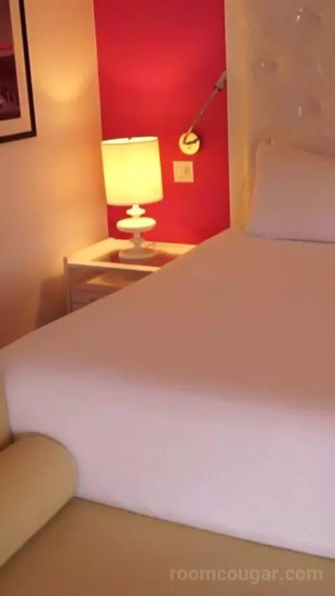 Go Premium King (#23040) bed picture #8