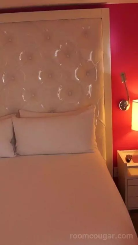 Go Premium King (#23040) bed picture #9