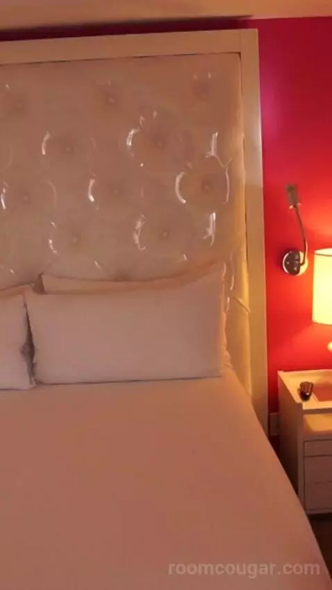 Go Premium King (#23040) bed picture #10