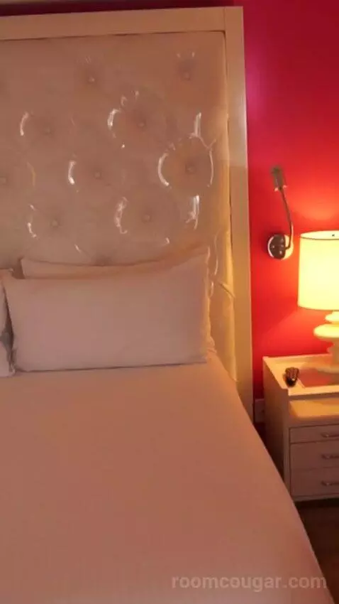 Go Premium King (#23040) bed picture #11