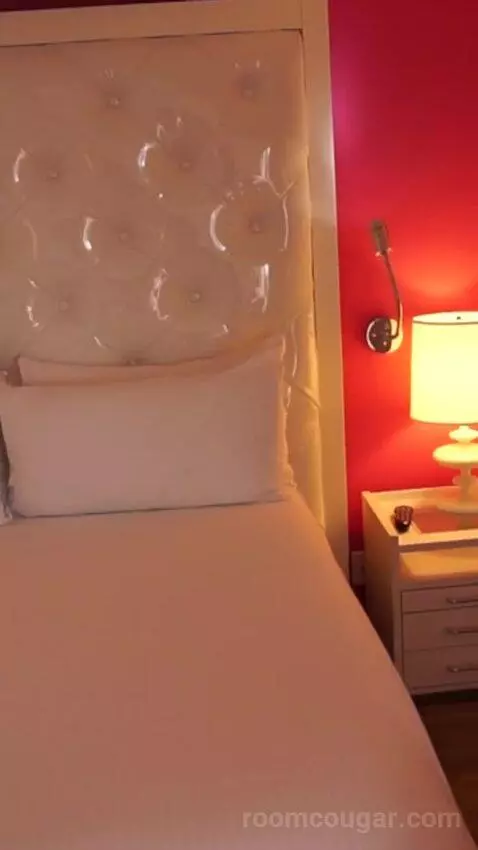 Go Premium King (#23040) bed picture #12