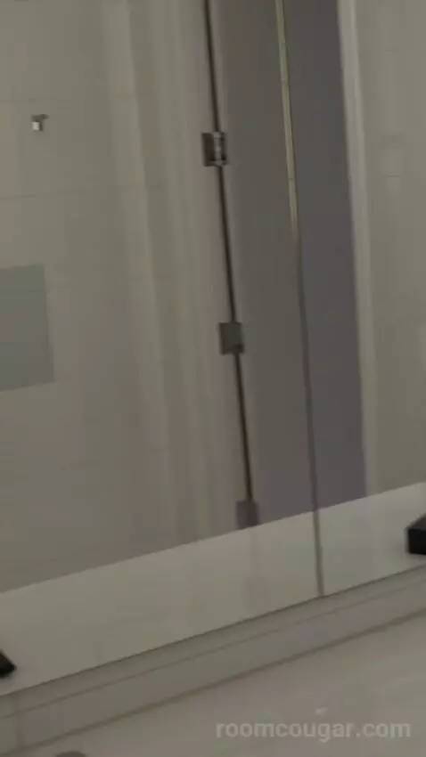 Chelsea Penthouse 2 Bedroom (#6013) bathroom picture #2