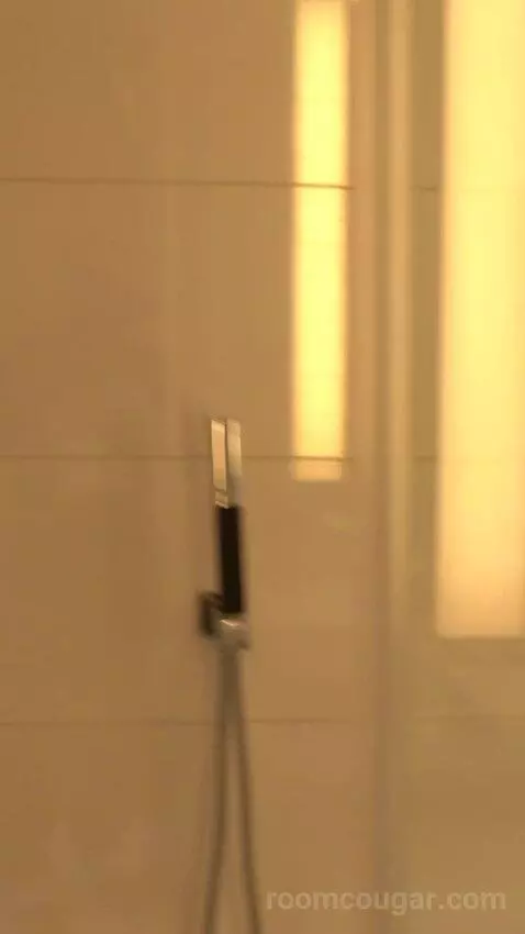 Chelsea Penthouse 2 Bedroom (#6013) bathroom picture #7