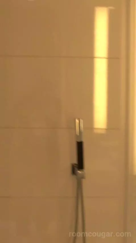 Chelsea Penthouse 2 Bedroom (#6013) bathroom picture #8