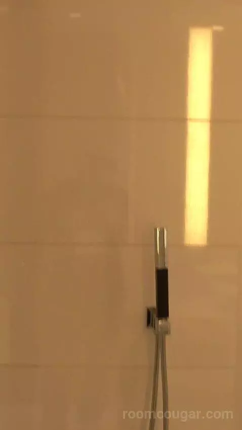 Chelsea Penthouse 2 Bedroom (#6013) bathroom picture #9
