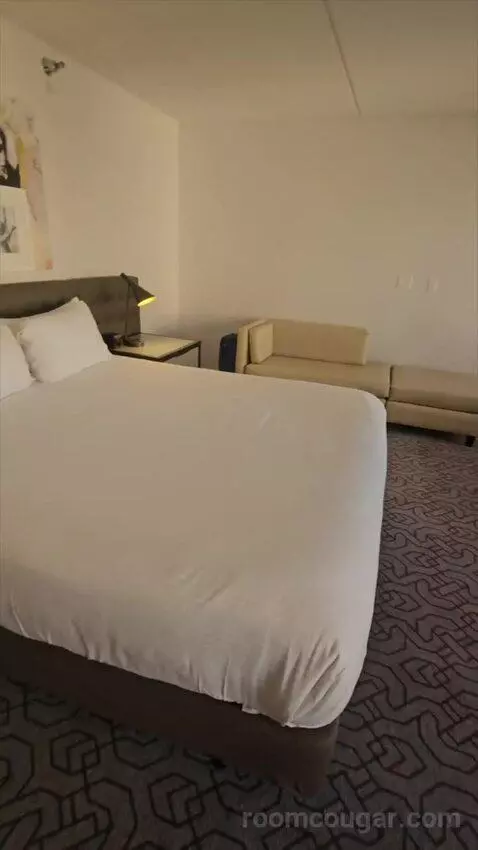 Ultra Resort Room, 1 King (#2178) bed picture #1