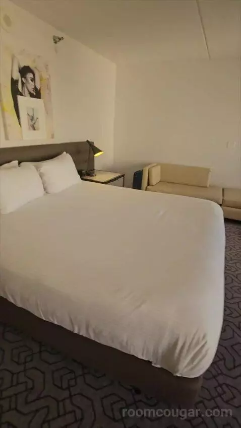 Ultra Resort Room, 1 King (#2178) bed picture #3