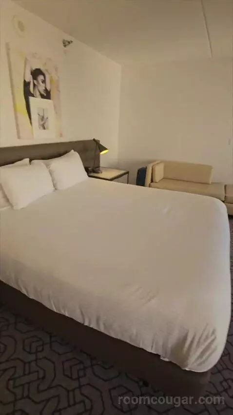 Ultra Resort Room, 1 King (#2178) bed picture #4