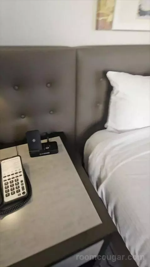 Ultra Resort Room, 1 King (#2178) bed picture #10